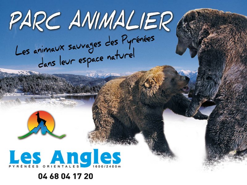 Parc animalier des Angles Ours